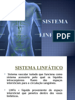 Sistema linfático: estruturas e função