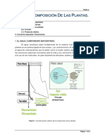 Composicion de Las Plantas