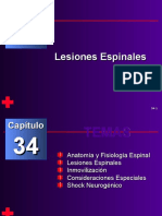 Capítulo 34 - Lesiones Espinales