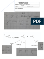 Tarea 5 Adrian Guznay Organica 2