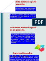 Perfil Del Proyecto