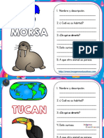 Tarjetas para Trabajar Los Animales PDF 11 20