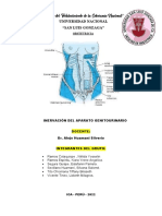 ANATOMÍA GENITOU LL