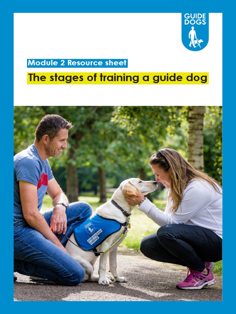How Are Guide Dogs Trained Resource Sheet | PDF | Labrador Retriever | Dogs