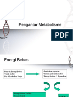 Metabolisme Sel dan Energi
