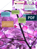 Hipoglucemiantes Orales PDF