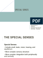 Special Senses KIUT