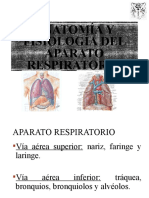 Anatomía y Fisiología A.R.