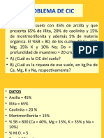 PROBLEMA DE CIC