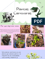 Plantas Carnívoras
