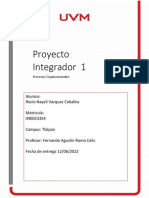A#4 Proyecto Integrador 1. Procesos Organizacionales