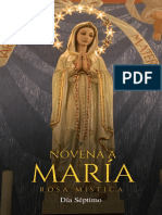 Séptimo Día de La Novena A María Rosa Mística