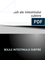 Bolile Intestinului Subtire