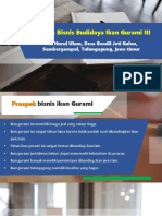 Prospektus Bisnis Budidaya Ikan Gurami III: PP. Nurul Ulum, Desa Bendil Jati Kulon, Sumbergempol, Tulungagung, Jawa Timur