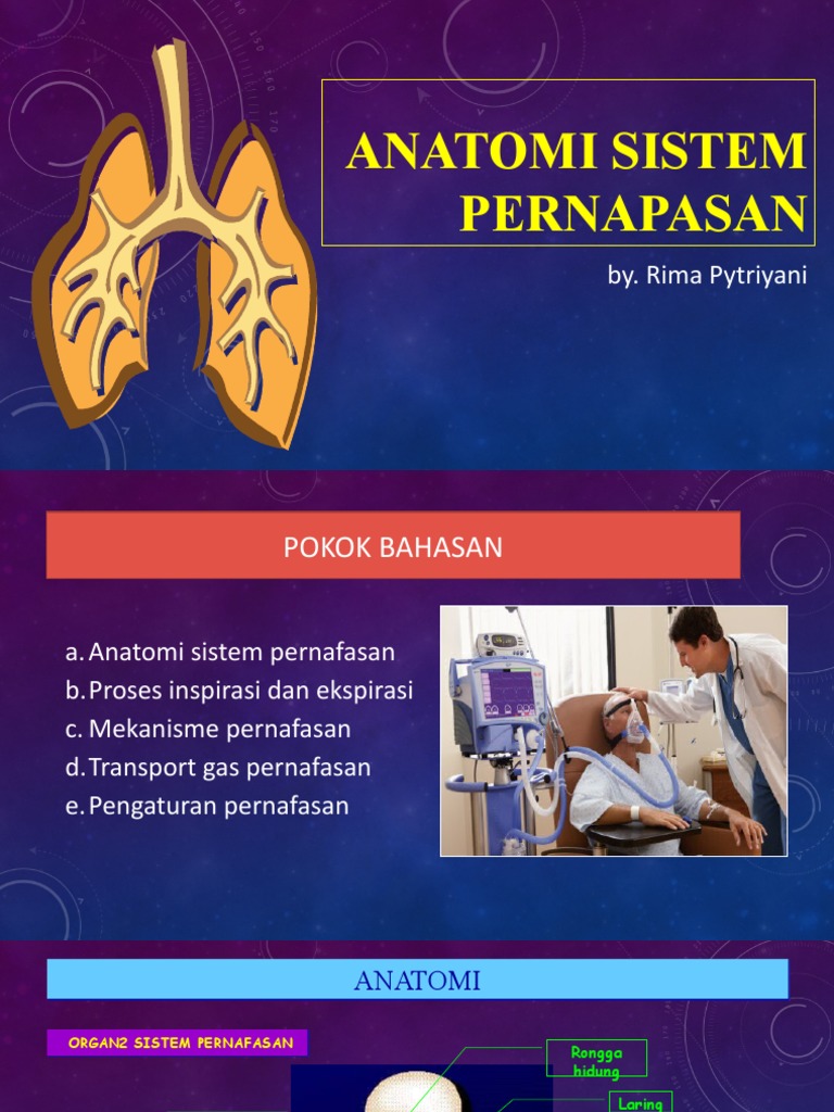 Anatomi Sistem Pernafasan | PDF