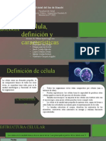 Biologia Diapositiva