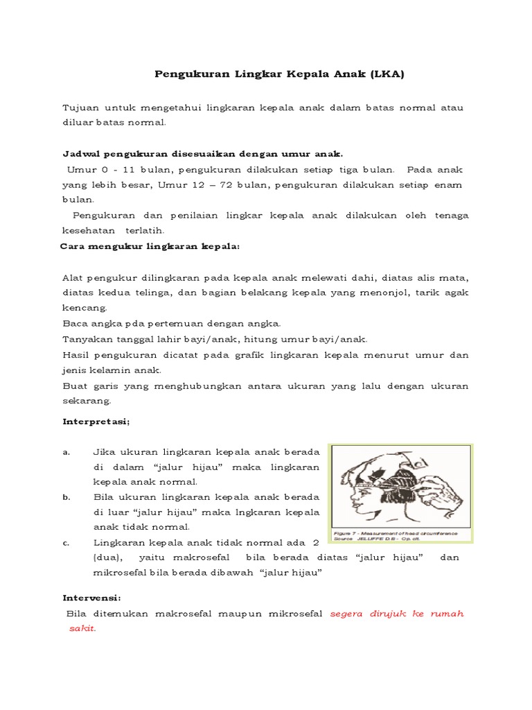Pengukuran Lingkar Kepala | PDF
