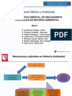 Mecanismos Judiciales en Materia Ambiental