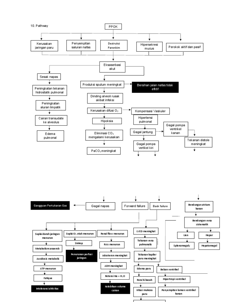 pathway-ppok-pdf