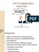 AUDIT SDM