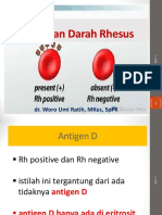 Golongan Darah Rhesus dan Antigen D