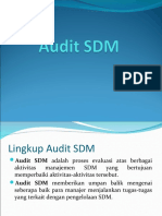 14 Audit SDM