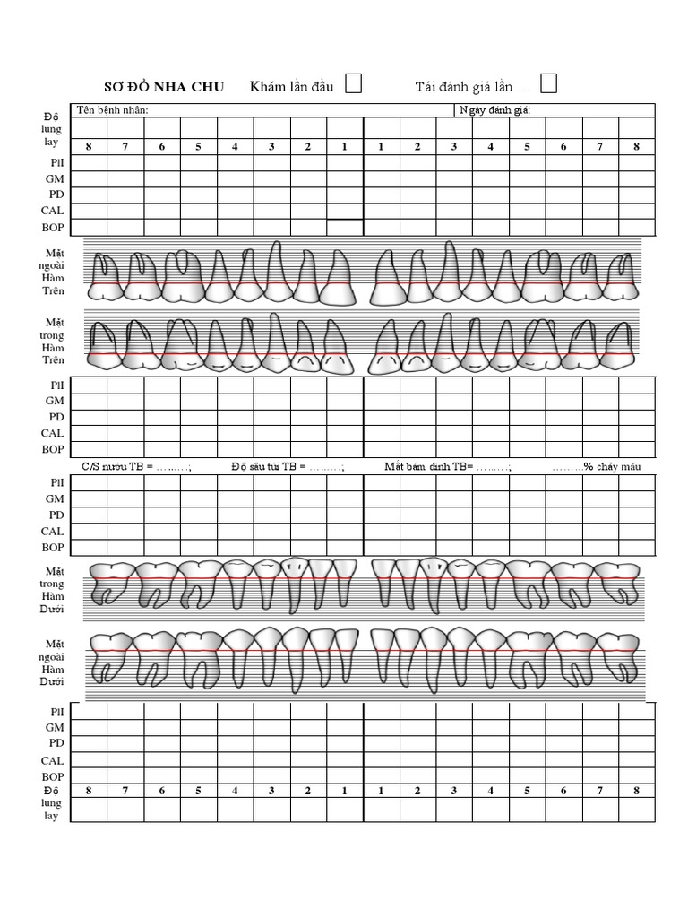 Periodontal Chart | PDF