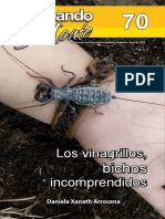 Vinagrillos bichos incomprendidos