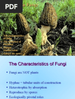 Remote Controller For Visionline: Installation Manual | PDF | Power ...