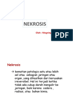 Nekrosis '19