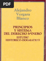 MINERIA Principios Sistema Estudio