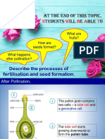 2.3 Fertilisation and Seed Formation