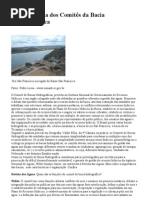 A importância dos Comitês da Bacia Hidrográfica