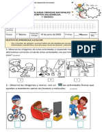 Prueba Vida Saludable