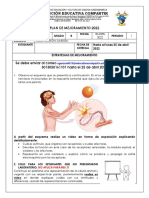 PLAN MEJORAMIENTO 1 PERIODO CIENCIAS NATURALES 8