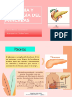 Anatomía y Fisiologia Del Paáncreas