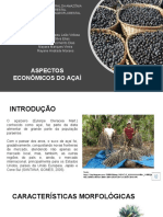 Ecomomia Da Produção Agroflorestal Seminario Aspectos Economicos Do Açai Seminario Final 1