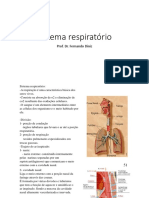 s Respiratorio PDF