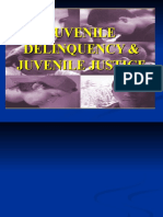 Theories of Juvenile Delinquency