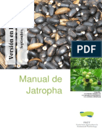 56-Media - 1052FACT Jatropha Manual ES