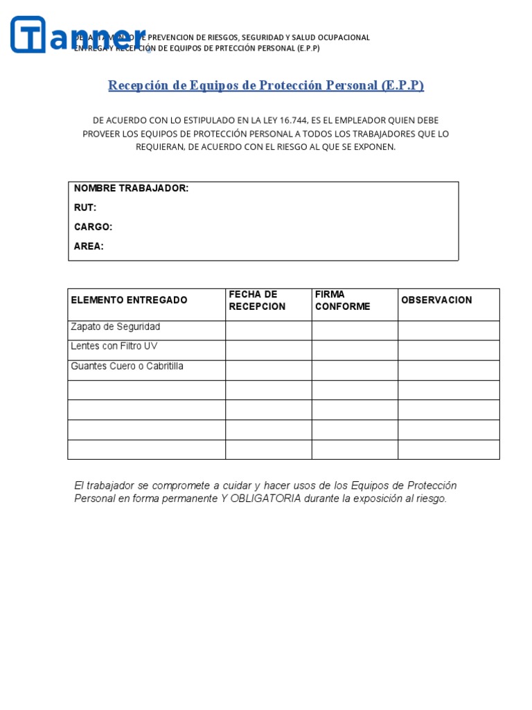 Formato Recepción EPP | PDF
