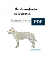 Osteologia animal