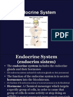 Class 1 Endocrine - SystemnewMay 17 - 22
