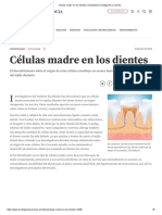 Células Madre en Los Dientes - Actualidad - Investigación y Ciencia