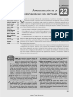 Documento Unido - Semana 10 - 11 IIS