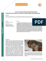 Dietary Management of An Obese Kinkajou (Potos Flavus) With Congestive Heart Failure Secondary To Hypertrophic Cardiomyopathy