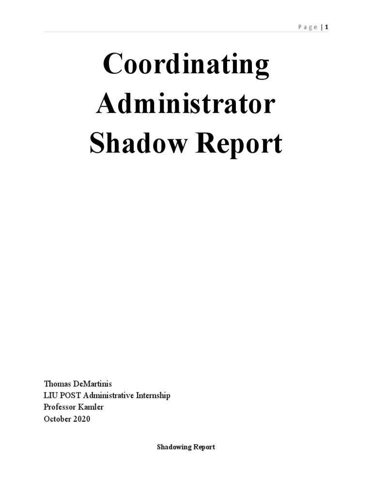 What Is A Shadow Report? – Using Shadow Reports for Advocacy – ANTOI