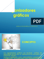 2020 2 Todos Los Organizadorres Graficos