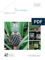 Gestion Des Cooperatives D'ananas For Web