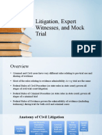 Litigation, Expert Witnesses, and Mock Trial